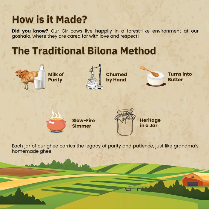 Rajamudi A2 Gir Cow Ghee 500ml | Pure Desi Ghee Made Using Traditional Bilona Method | Rich in Nutrition & Natural Goodness | Made from our Local Chittor Farm's Gir Cows