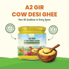 A2 Gir Cow Bilona Ghee — Hand-Churned, Grass-Fed, 100% Pure | Rajamudi Organics
