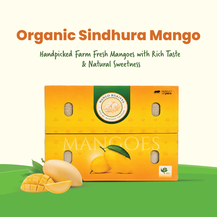 Organic Sindhura Mango — The Honey Mango of South India (3 KG)  | No Carbide, No Chemicals - Rajamudi Organics