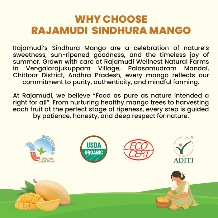 Organic Sindhura Mango — The Honey Mango of South India (3 KG)  | No Carbide, No Chemicals - Rajamudi Organics