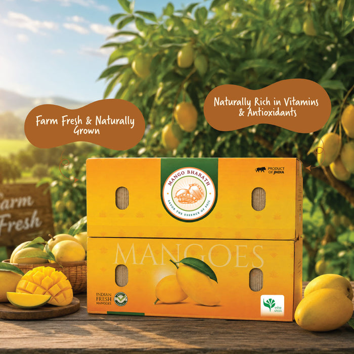 Organic Alphonso Mango (Hapus) – Carbide-Free | Rajamudi Organics