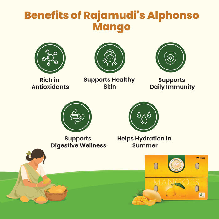 Alphonso Mango (Hapus) — The King, Grown Organic (3 KG) | Rajamudi Organics