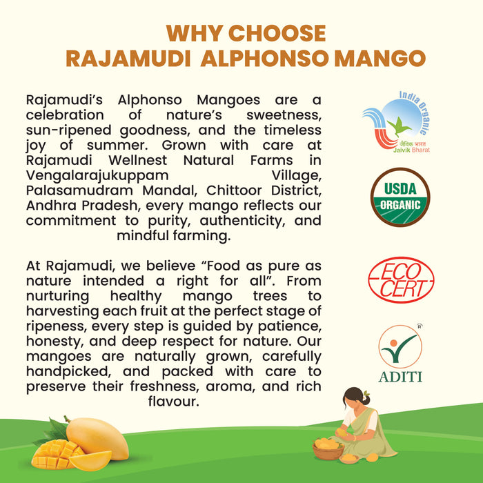 Alphonso Mango (Hapus) — The King, Grown Organic (3 KG) | Rajamudi Organics
