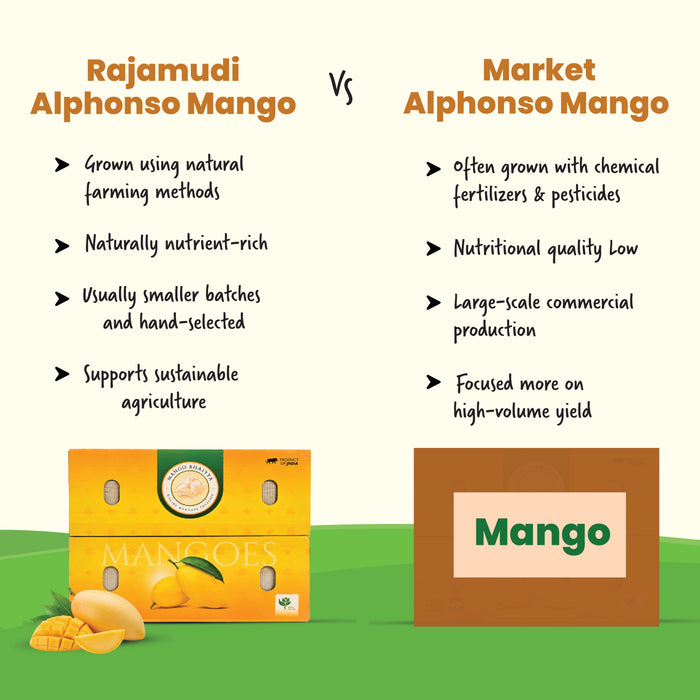 Alphonso Mango (Hapus) — The King, Grown Organic (3 KG) | Rajamudi Organics