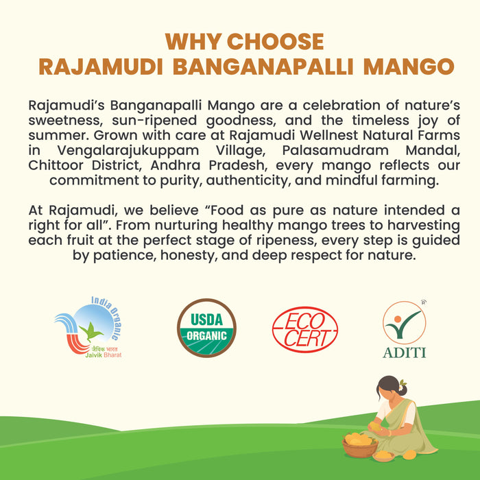 Rajamudi Organics — Organic Banganpalli Mangoes | GI-Tagged | Fibre-Free, Juicy & Sweet | Farm-Fresh from Andhra Pradesh