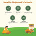 Benefits of Rajamudi's Turmeric powder