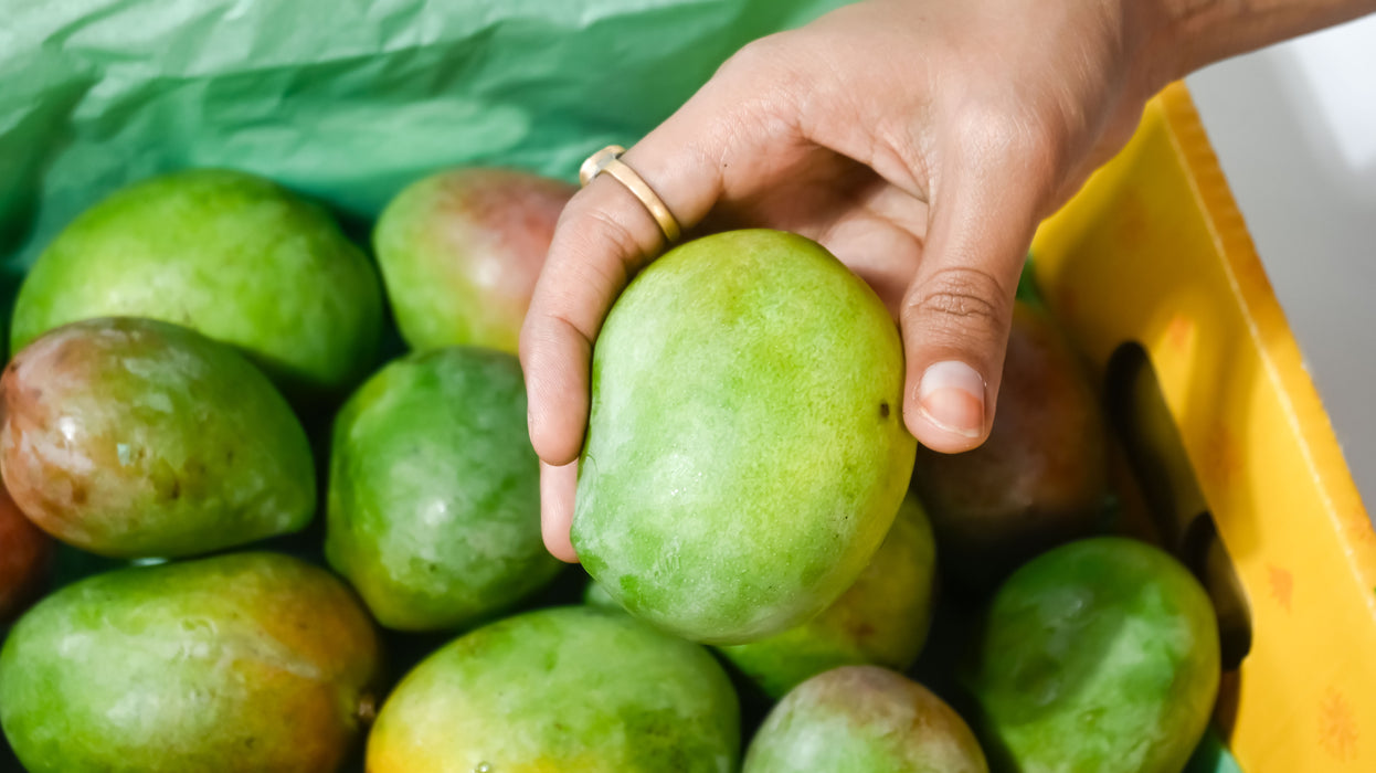 Organic Sindhura Mango — The Honey Mango of South India (3 KG)  | No Carbide, No Chemicals - Rajamudi Organics