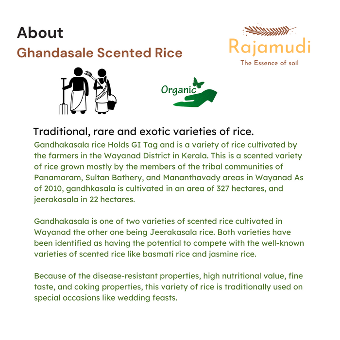 about Ghandhasale Rice