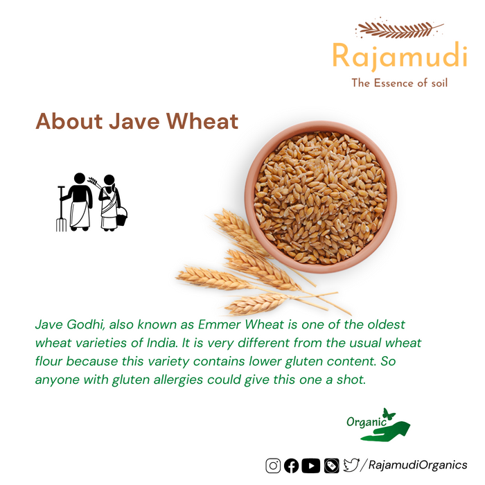 Organic Wheat Khapli / Jave Godhi by Rajamudi